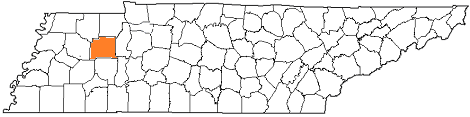 tennessee fire, tennessee firefighters, tn firefighters, tn fire, tennessee fire department, carroll county, carroll county ems, carroll county fire apparatus, carroll county fire departments, carroll county ems