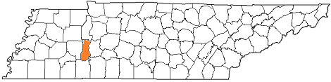 tennessee fire, tennessee firefighters, tn firefighters, tn fire, tennessee fire department, decatur county, decatur county ems, decatur county fire apparatus, decatur county fire departments