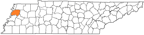 tennessee fire, tennessee firefighters, tn firefighters, tn fire, tennessee fire department, dyer county, dyer county ems, dyer county fire apparatus, dyer county fire departments