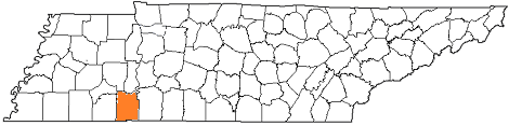 tennessee fire, tennessee firefighters, tn firefighters, tn fire, tennessee fire department, hardin county, hardin county ems, hardin county fire apparatus, hardin county fire departments