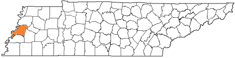 tennessee fire, tennessee firefighters, tn firefighters, tn fire, tennessee fire department, lauderdale county, lauderdale county ems, lauderdale county fire apparatus, lauderdale county fire departments