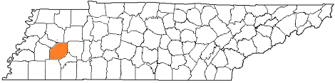 tennessee fire, tennessee firefighters, tn firefighters, tn fire, tennessee fire department, madison county, madison county ems, madison county fire apparatus, madison county fire departments