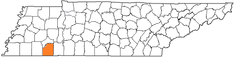 tennessee fire, tennessee firefighters, tn firefighters, tn fire, tennessee fire department, mcnairy county, mcnairy county ems, mcnairy county fire apparatus, mcnairy county fire departments