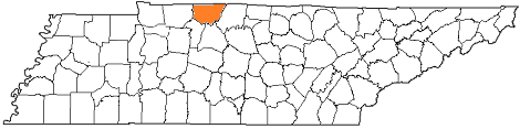 tennessee fire, tennessee firefighters, tn firefighters, tn fire, tennessee fire department, robertson county, robertson county ems, robertson county fire apparatus, robertson county fire departments