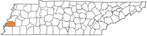 tennessee fire, tennessee firefighters, tn firefighters, tn fire, tennessee fire department, tipton county, tipton county ems, tipton county fire apparatus, tipton county fire departments