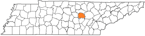 tennessee fire, tennessee firefighters, tn firefighters, tn fire, tennessee fire department, white county, white county ems, white county fire apparatus, white county fire departments